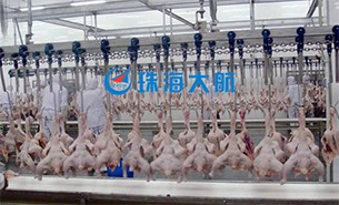 重量分揀設(shè)備如何實(shí)現(xiàn)整雞分選？