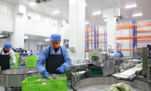 蔬菜配重機：解決人工成本與效率問題，助力蔬菜加工發(fā)展